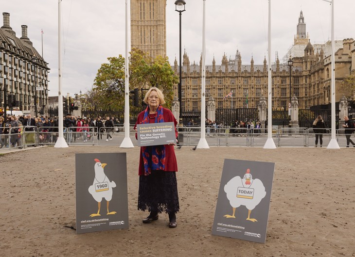 CIWF Westmisnter London Nacho Rivera 7