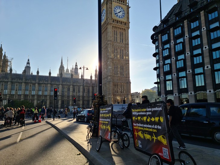 9794Ccae 4C1c 454A 8255 4B0fa1cd205a