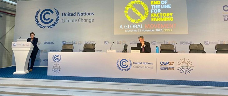 Bdeb92de 91D2 4C78 Ae43 F258547de93e