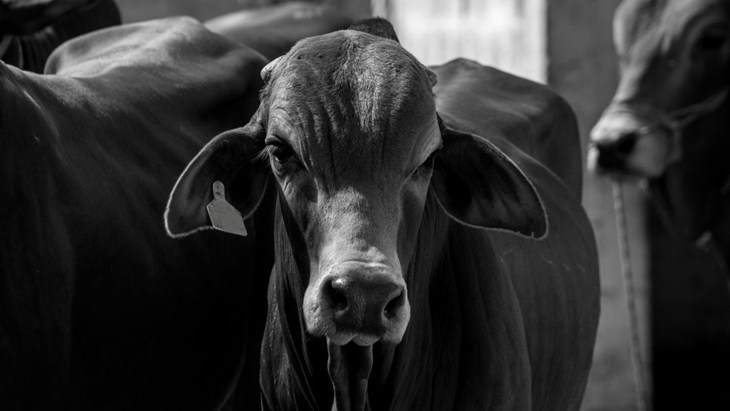 Microsoftteams Image (1)