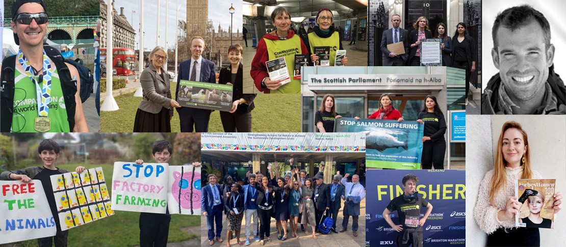 montage of campaign and fundraising events