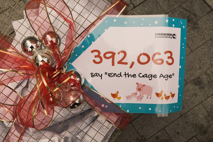 CIWF Defra Nacho Rivera Photographer London 3