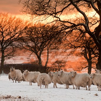 Remarkable progress in exceptional times