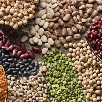 Pulses: good for the health of people, animals and planet