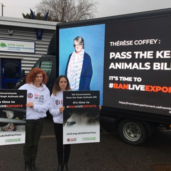 Pressure mounts on Ministers to Ban Live Exports