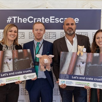 Great support for ‘The Crate Escape’ campaign