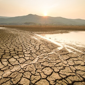 World Water Day: Industrial farming’s assault on fresh water must end, experts warn