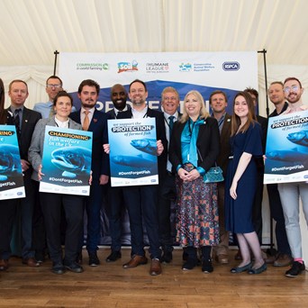 Compassion co-host ‘Don’t Forget Fish’ Parliamentary event