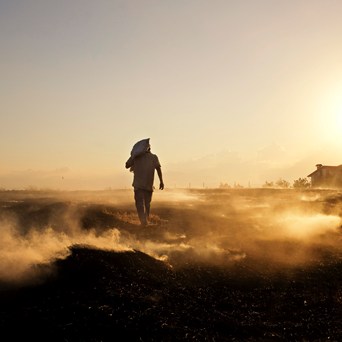Urgent global food production reform and dietary shifts needed to keep 1.5°C climate ambition alive, Compassion in World Farming warns