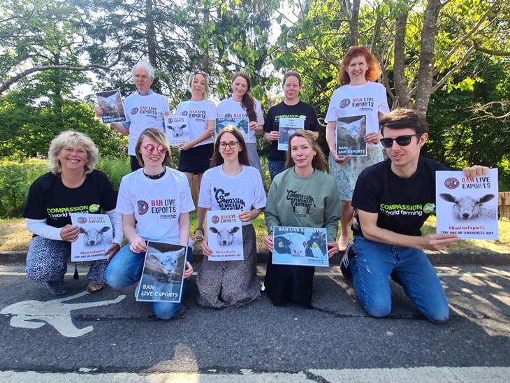CIWF staff group photo in UK