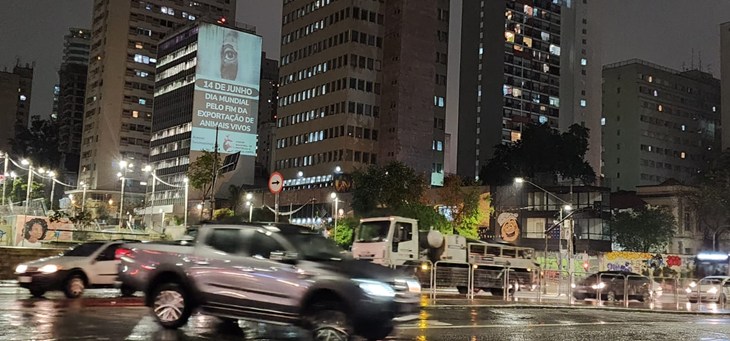 Ban Live Exports projection stunt in Brazil
