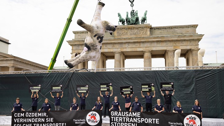 Four Paws Germany (1)