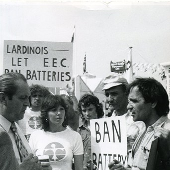 Roaming Wild: The Founding of Compassion in World Farming