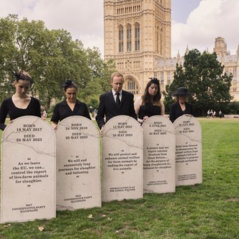 Ban Live Exports promise must not go to the grave