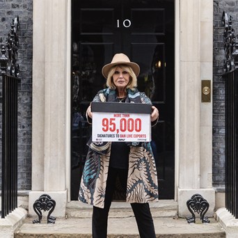 Dame Joanna Lumley urges UK Government to Ban Live Exports