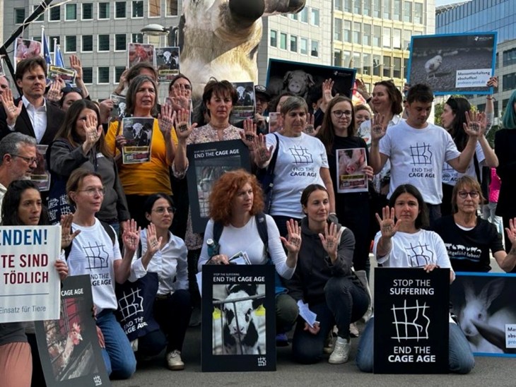 Rally outside EU commission