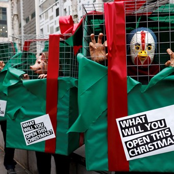 UK Government urged to End the Cage Age