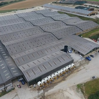 Factory Farming Map