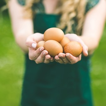 Legislators must ban cages to underpin industry progress outlined in EggTrack 2023