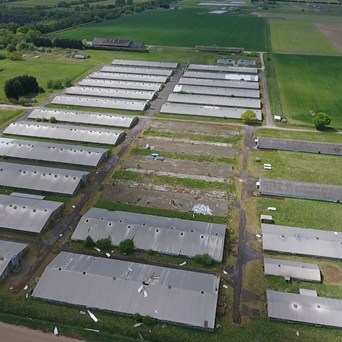 Shocking rise in US-style megafarms across the UK  revealed in new data