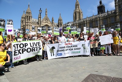 Supporters with banners and placards at a London live exports demonstration