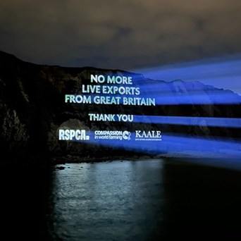Dover cliffs lit up in celebration as 'landmark' live exports ban gets Royal Assent