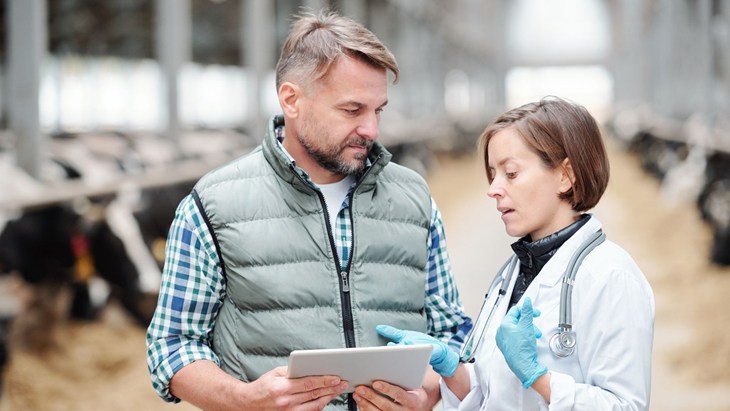 Vet talking to farmer with cows in background