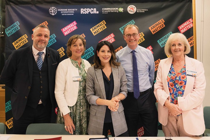 Animal Hustings 2024