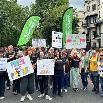 Marching for nature