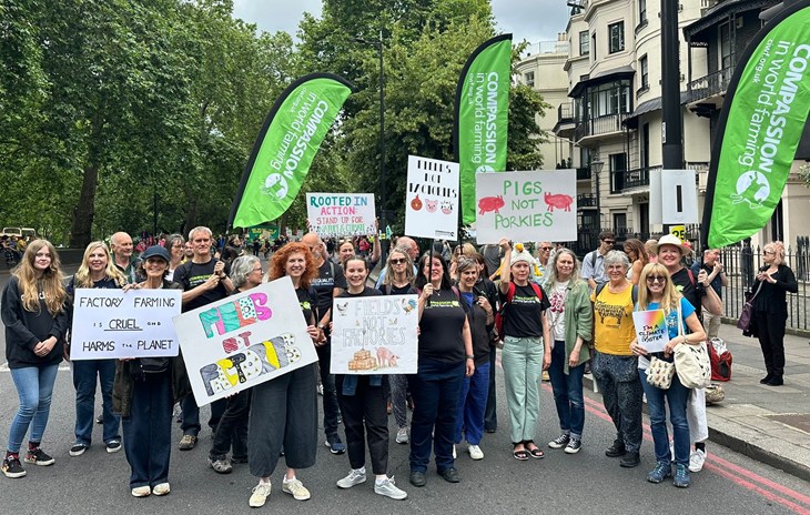 Compassion staff and supporters at the Restore Nature Now march in London