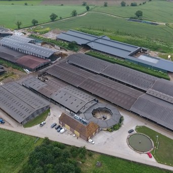 Cattle megafarms receive mega media interest