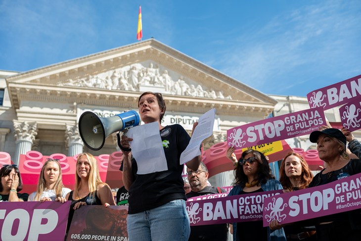 World Octopus Day Event Madrid Oct 2024 94199 © Thomas Bedwin The Vegan Agency
