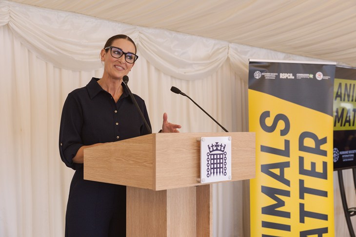 CIWF © Nacho Rivera 1