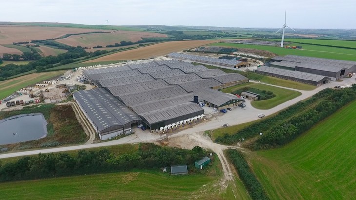 Overhead image of an intensive factory farm