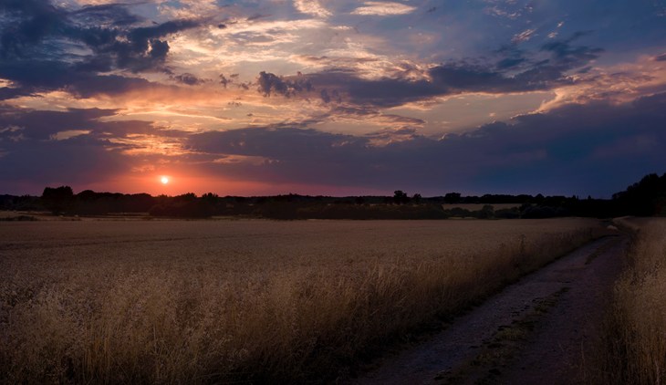 Subset over crop field
