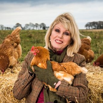 Dame Joanna Lumley launches petition urging UK Government to End the Cage Age for all farmed animals (1)