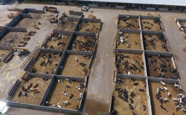 1. UK Factory Farming Map