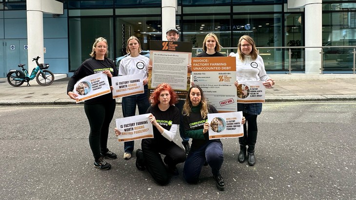 Compassion in World Farming and World Animal Protection staff with placards outside the World Bank HQ in London