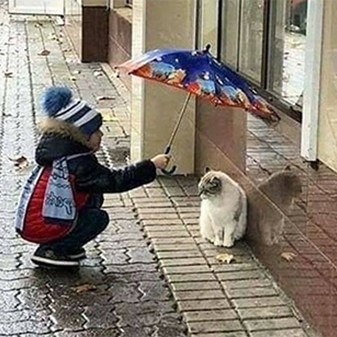 Natural kindness: A beacon of hope in challenging times