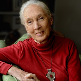 Dr Jane Goodall DBE