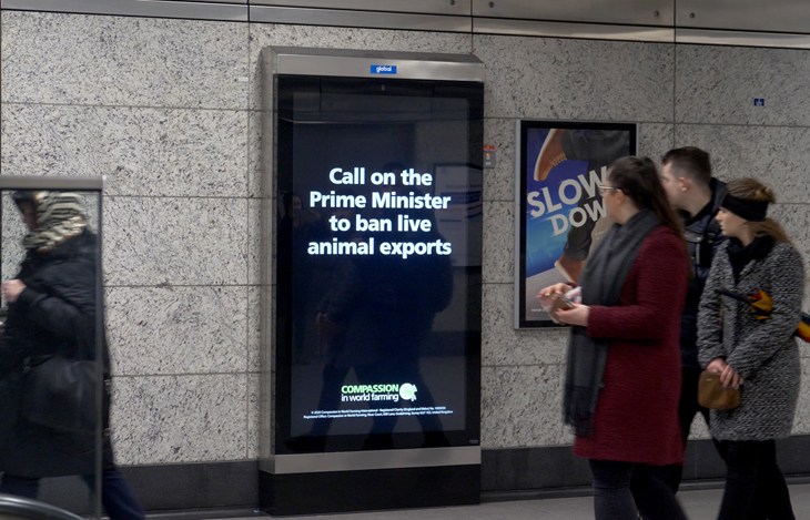 77482 © Compassion In World Farming