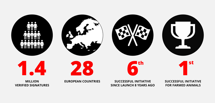 Infographic (2)
