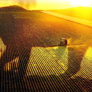 6. The cold truth behind factory farming
