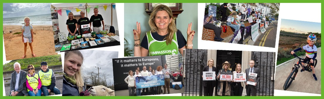 montage of campaign and fundraising events