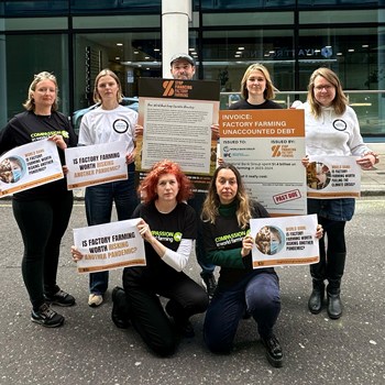 Stop Financing Factory Farms: Compassion joins World Bank protests
